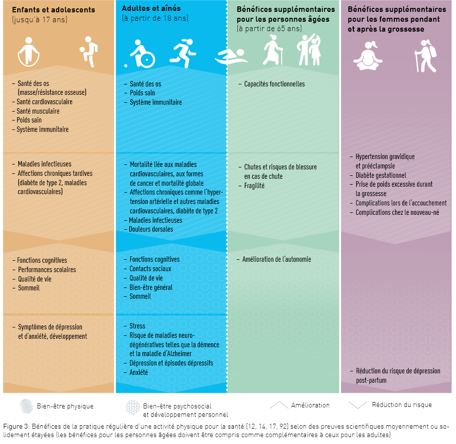 Bénéfices de la pratique régulière d’une activité physique